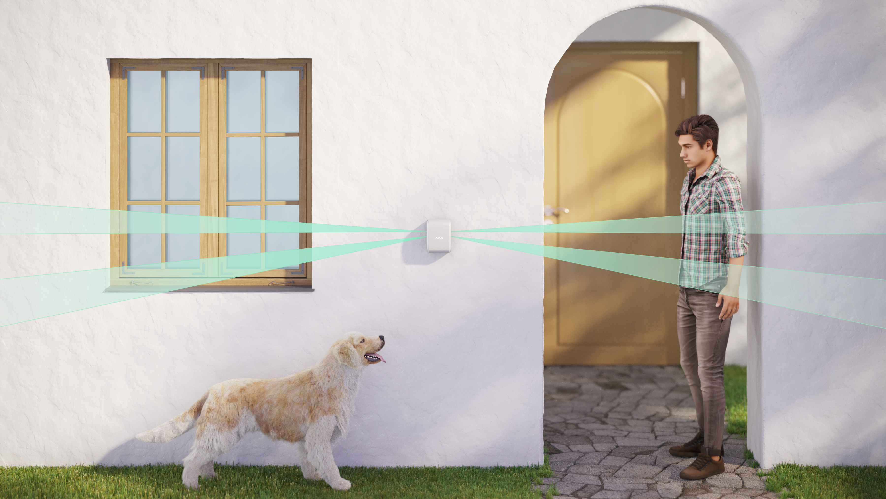 Ajax DualCurtain Outdoor Jeweller